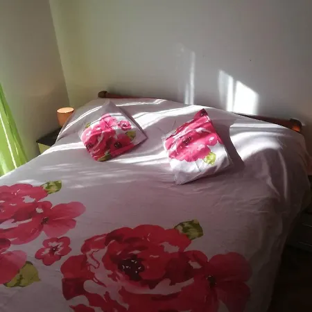 Apartment Ante Brodarica (Sibenik-Knin)