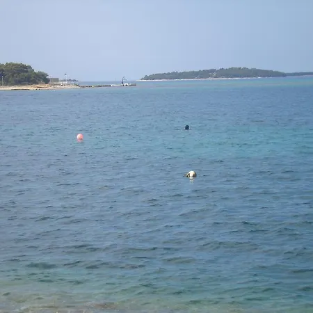 Ante Brodarica (Sibenik-Knin)